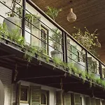 White Penny Hostel